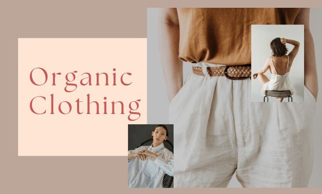 fashion-organic