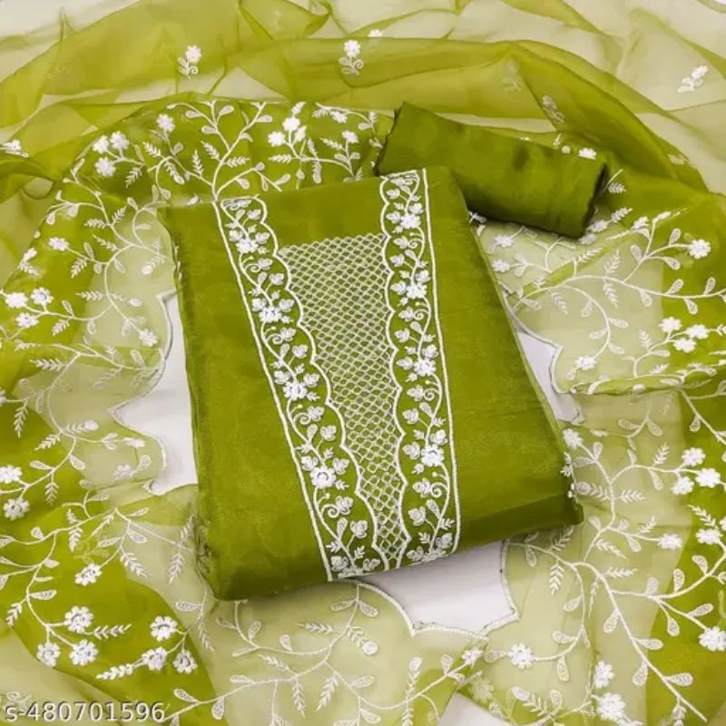 Organza Beautiful Suit for Women